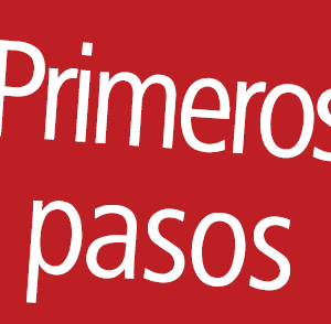 Primeros pasos Primeros pasos